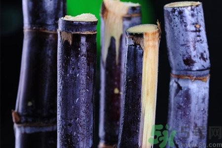 老人一天吃多少甘蔗最好？老人一天吃多少甘蔗合適？