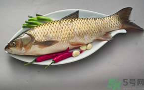 秋天怎么釣草魚？秋天草魚好釣嗎？