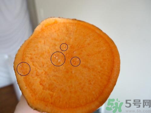 番薯發(fā)芽還能吃嗎？山芋發(fā)芽還能吃嗎？
