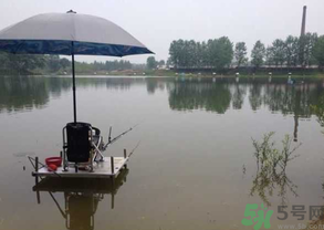 水庫釣魚用什么餌料？水庫釣魚用什么商品餌？