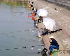 水庫釣魚用什么餌料？水庫釣魚用什么商品餌？