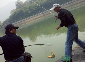 秋季釣黑魚用什么魚餌？秋天釣黑魚用什么餌？