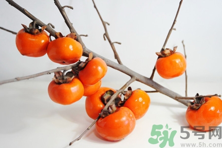 柿子和甘蔗能一起吃嗎？吃完柿子能馬上吃甘蔗嗎？