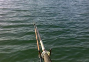 十月份水庫(kù)可以釣魚(yú)嗎？十月份水庫(kù)釣魚(yú)技巧
