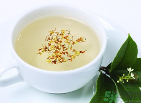 新鮮桂花能泡茶嗎？新鮮桂花怎么處理泡茶？
