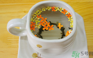 剛摘的桂花可以泡茶嗎？剛摘的桂花能泡茶嗎？