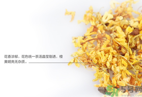 新鮮桂花可以泡水喝嗎？新鮮桂花泡水喝有什么好處？
