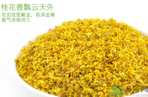 剛摘的桂花有蟲怎么辦？干桂花長蟲怎么辦？
