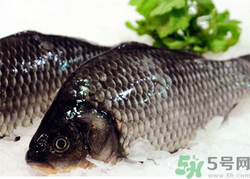 鯽魚死了一夜能吃嗎？鯽魚死了一天能吃嗎？
