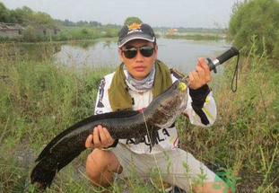路亞釣黑魚用什么假餌？路亞釣黑魚用什么餌？