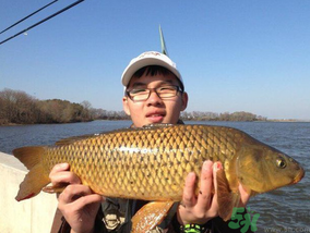 夜釣鯉魚用什么餌料？秋天夜釣鯉魚用什么餌料？