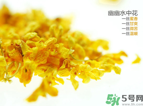 桂花可以泡水喝嗎？桂花怎么泡水？