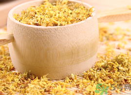 新鮮桂花能泡茶嗎？新鮮怎么處理泡茶？