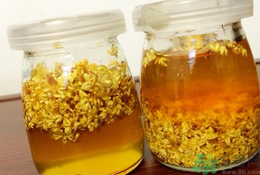 干桂花可以做桂花蜜嗎？干桂花怎么做桂花蜜？