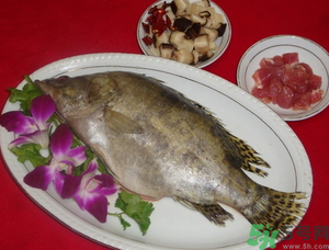 桂魚怎么保存？桂魚放冰箱怎么保存？