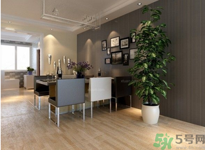 桂花樹可以種在室內(nèi)嗎？桂花樹適合在室內(nèi)嗎？