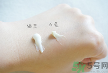 白兔祛痘膏和獅王哪個好？白兔牌暗瘡膏哪款好？