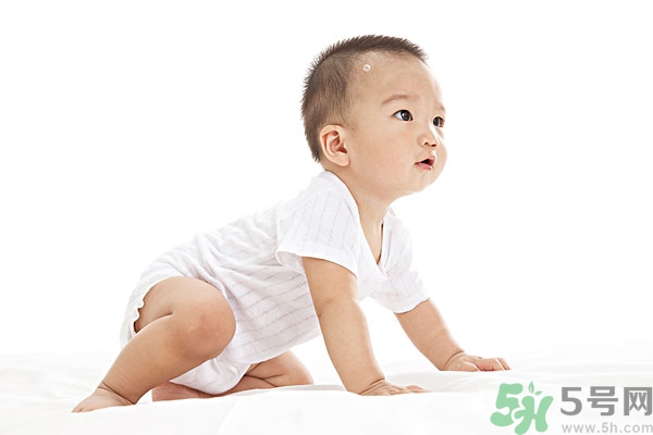 吃南瓜子可以打蟲嗎,南瓜子能打蛔蟲嗎？