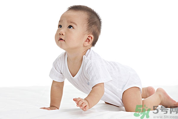 吃南瓜子可以打蟲嗎,南瓜子能打蛔蟲嗎？