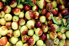冬棗為什么用開(kāi)水泡過(guò)會(huì)變紅？燙過(guò)的冬棗還能吃嗎？