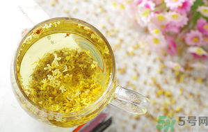 月經(jīng)期能喝桂花茶嗎？經(jīng)期能喝桂花茶嗎？