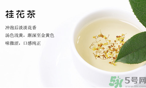 月經(jīng)期能喝桂花茶嗎？經(jīng)期能喝桂花茶嗎？