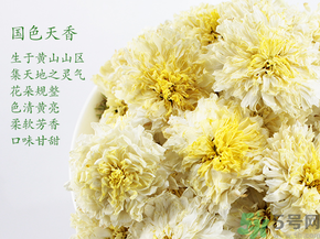 菊花茶可以放冰箱嗎？菊花茶能放冰箱冷凍嗎？