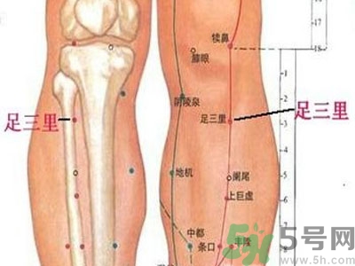 艾灸足三里有什么好處？艾灸足三里的功效