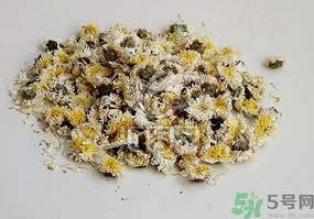 干菊花長(zhǎng)蟲(chóng)怎么辦？干菊花長(zhǎng)蟲(chóng)還能喝嗎？