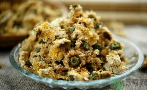 干菊花長(zhǎng)蟲(chóng)怎么辦？干菊花長(zhǎng)蟲(chóng)還能喝嗎？