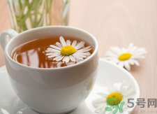 菊花茶可以天天喝嗎？菊花茶喝多了會怎么樣？
