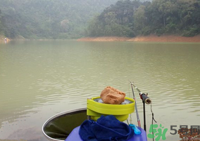 秋天釣魚用什么打窩？秋天釣鯉魚用什么打窩？