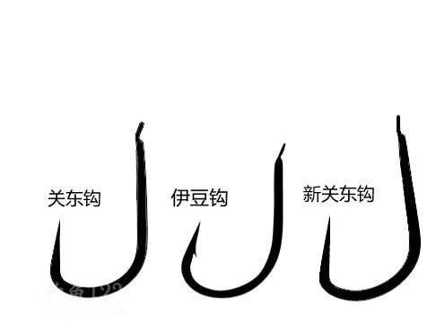釣鯉魚用幾號鉤？釣鯉魚用什么鉤？