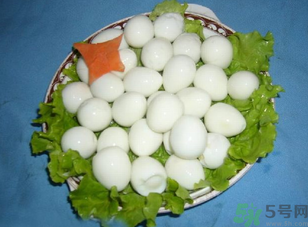 鴿子蛋怎么煮不會(huì)破裂？鴿子蛋怎么煮不會(huì)破？
