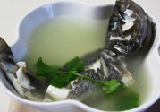 孕婦吃黑魚好嗎？孕婦吃黑魚會(huì)流產(chǎn)嗎？
