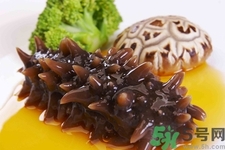 吃海參會上火嗎？經(jīng)常吃海參會上火嗎？