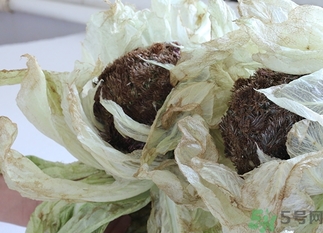 雪蓮花怎么吃？雪蓮花的功效作用