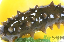 新鮮海參能生吃嗎？新鮮海參是生吃好還是熟吃好？