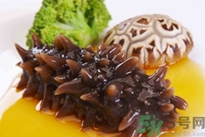 小孩能吃海參嗎？四種人不適合吃海參