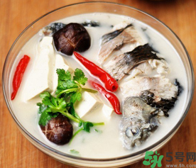 鯽魚湯的營養(yǎng)價(jià)值 鯽魚湯的功效與作用