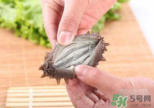 海參肚子里的筋能吃嗎？海參肚子里的筋吃了有什么作用？