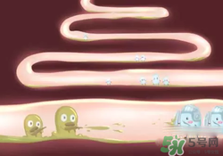 益生菌可以長期吃嗎？益生菌什么時候吃比較好？