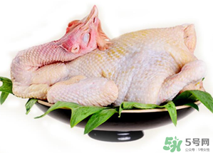 冷凍肉可以放多久？速凍肉可以放多久？