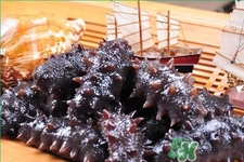 腎虛能吃海參嗎？吃海參對腎好嗎？