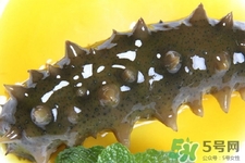 怎樣鑒別新鮮海參的好壞？干海參如何鑒別真假