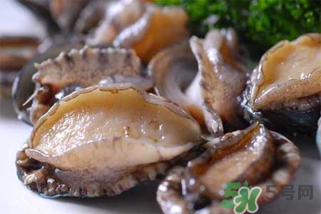 鮑魚(yú)能冷凍嗎？鮑魚(yú)可以放冰箱冷藏嗎？