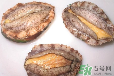 鮑魚(yú)能冷凍嗎？鮑魚(yú)可以放冰箱冷藏嗎？