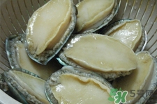 鮑魚死后可以放幾天？鮑魚死后多久不能吃？