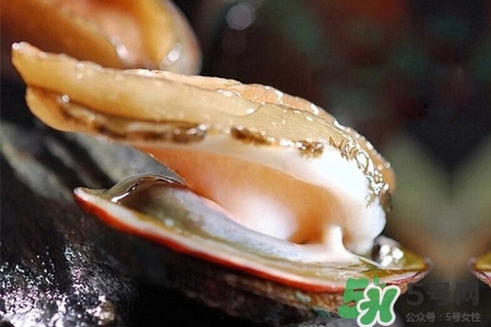 鮑魚一次最多吃幾個？鮑魚吃多了有什么不好的？