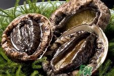 吃鮑魚要注意些什么？吃鮑魚會過敏嗎？
